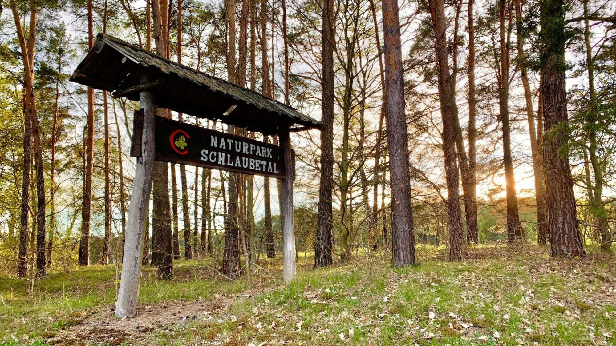 Naturnahe Gaestewohnung Im Heidelandhaus Henzendorf Neuzelle Zewnętrze zdjęcie